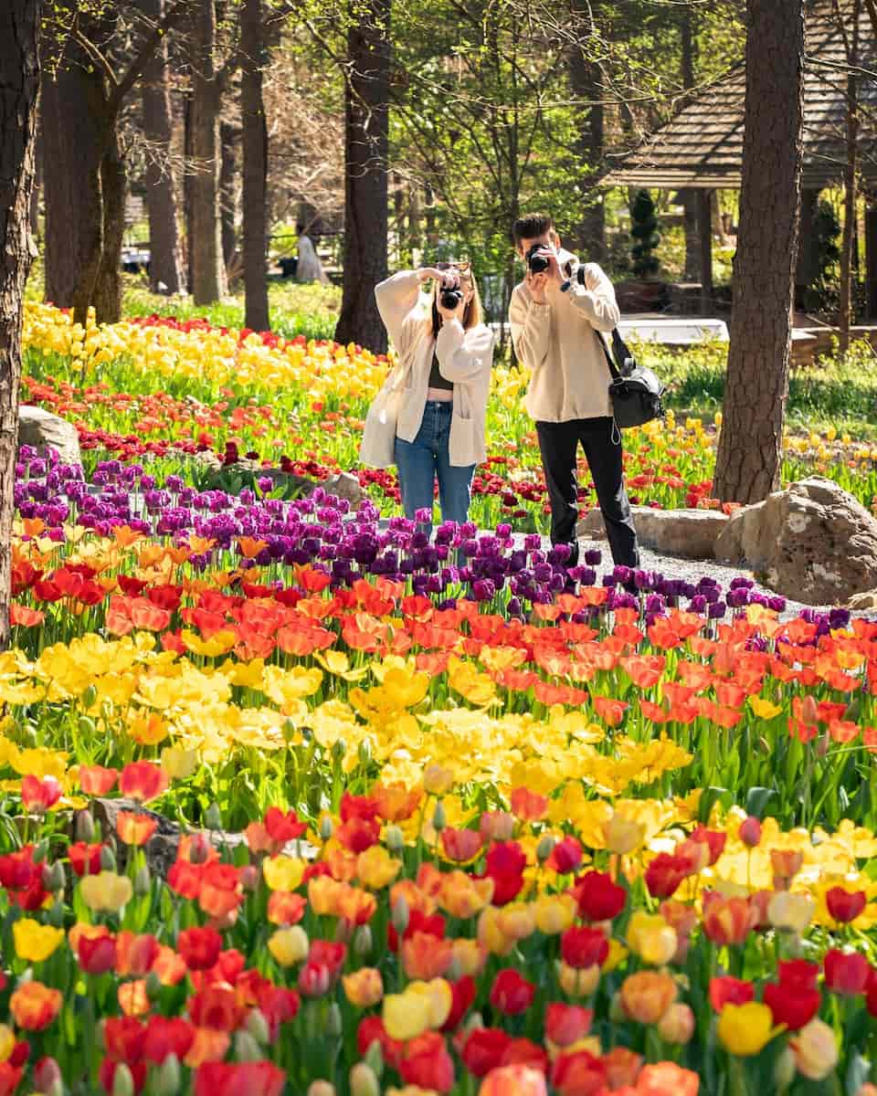 Spring in Hot Springs