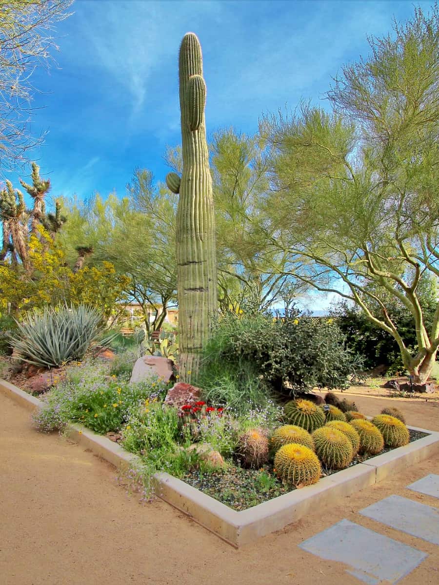 Springs Preserve, Las Vegas