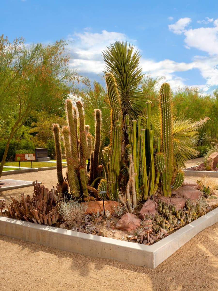 Springs Preserve, Las Vegas