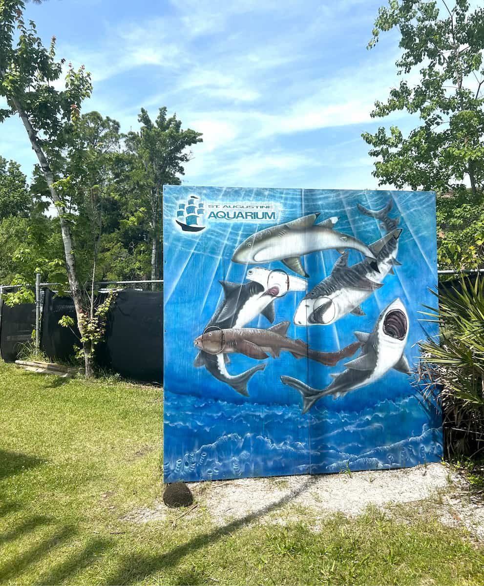 St Augustine Aquarium