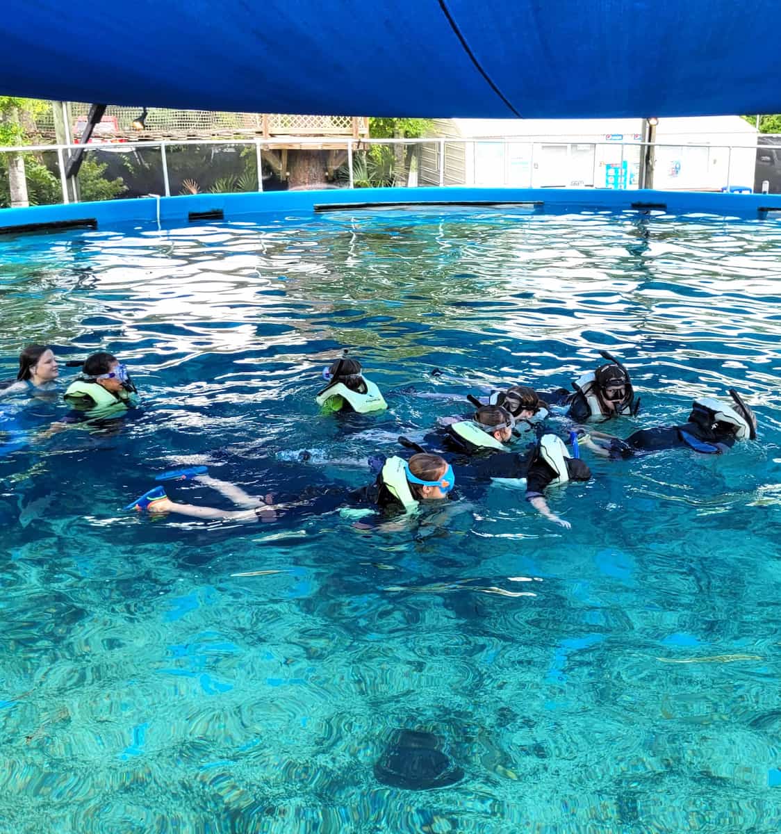 St Augustine Aquarium