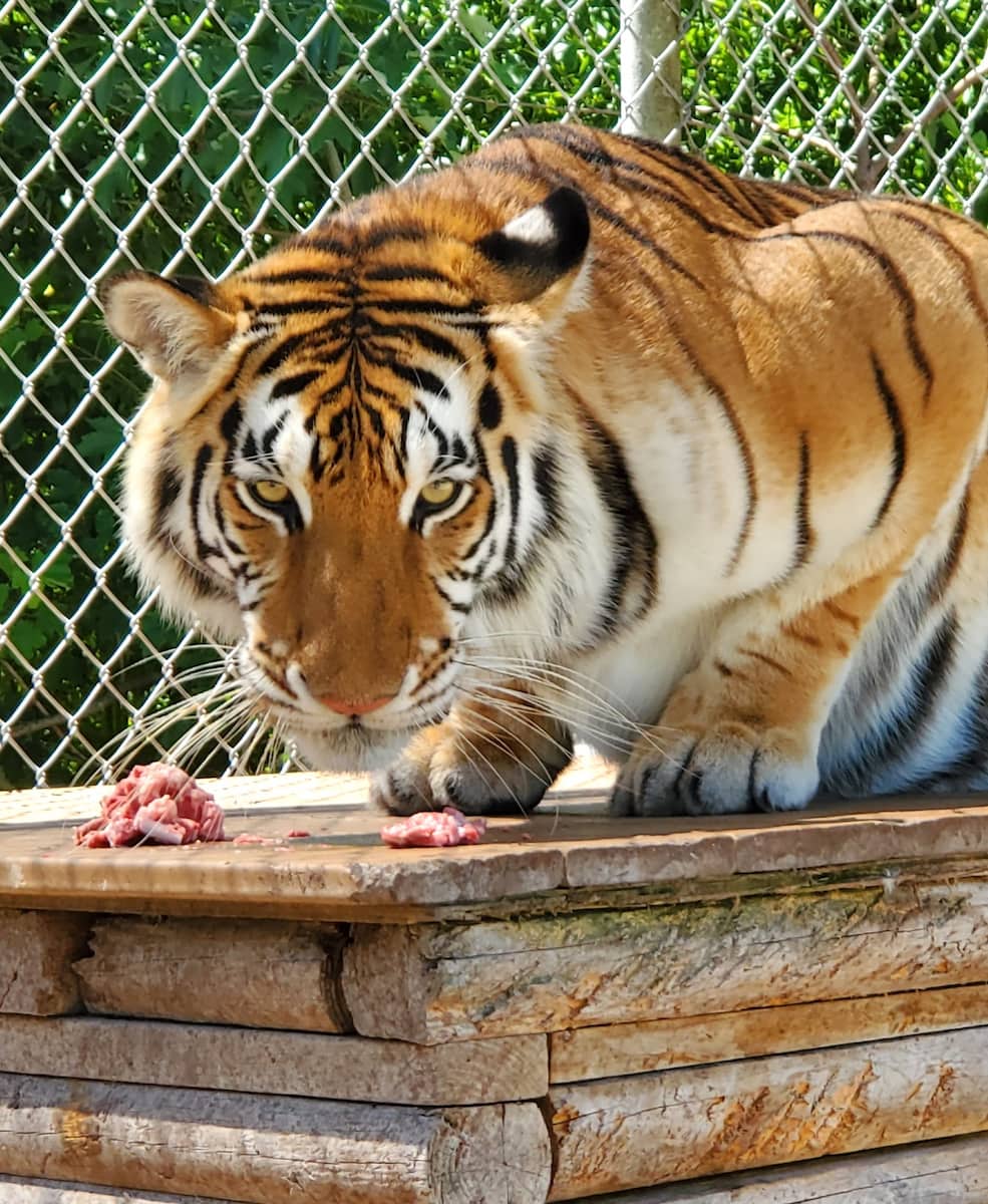 St Augustine Wild Reserve