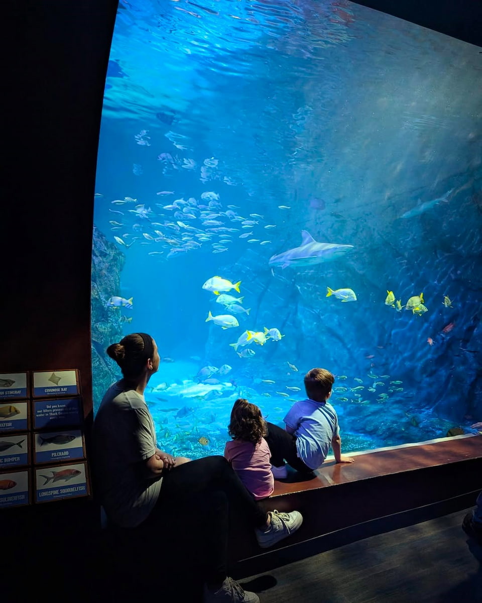 St. Louis Aquarium