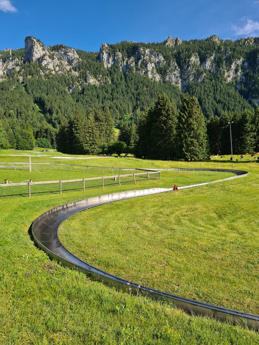 Summer Toboggan Run, Füssen