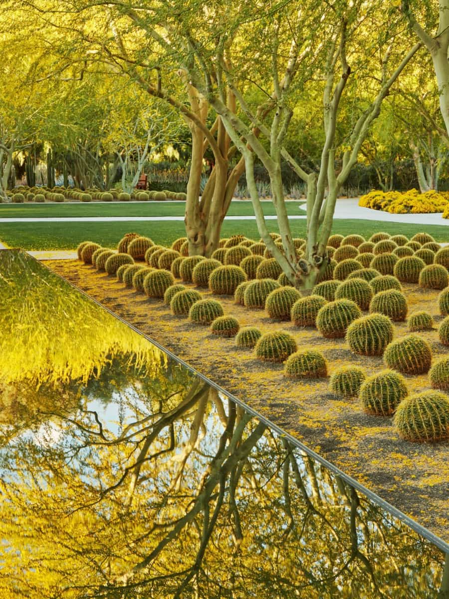 Sunnylands Center & Gardens, Palm Springs