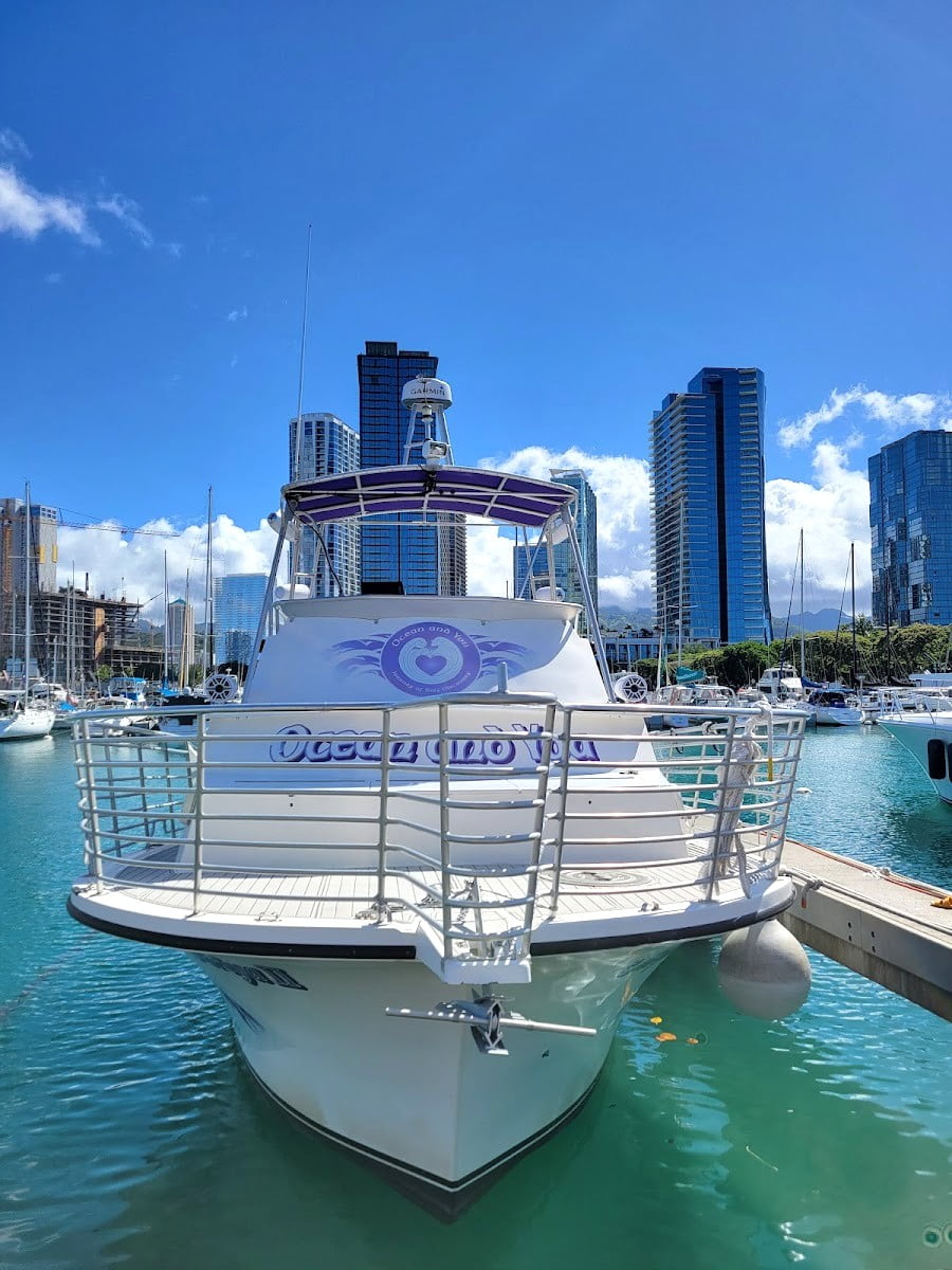 Swim with Sea Turtles, Oahu, Hawaii