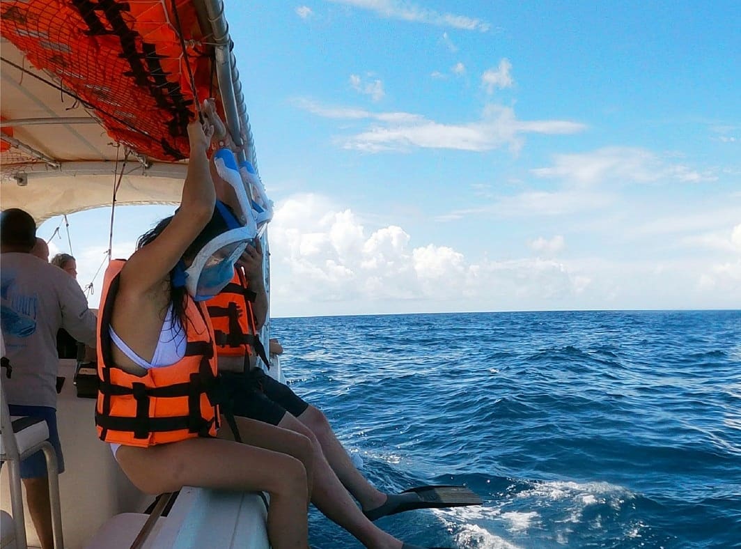 Swimming with whale sharks in Cancun