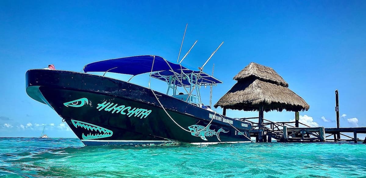 Swimming with whale sharks in Cancun