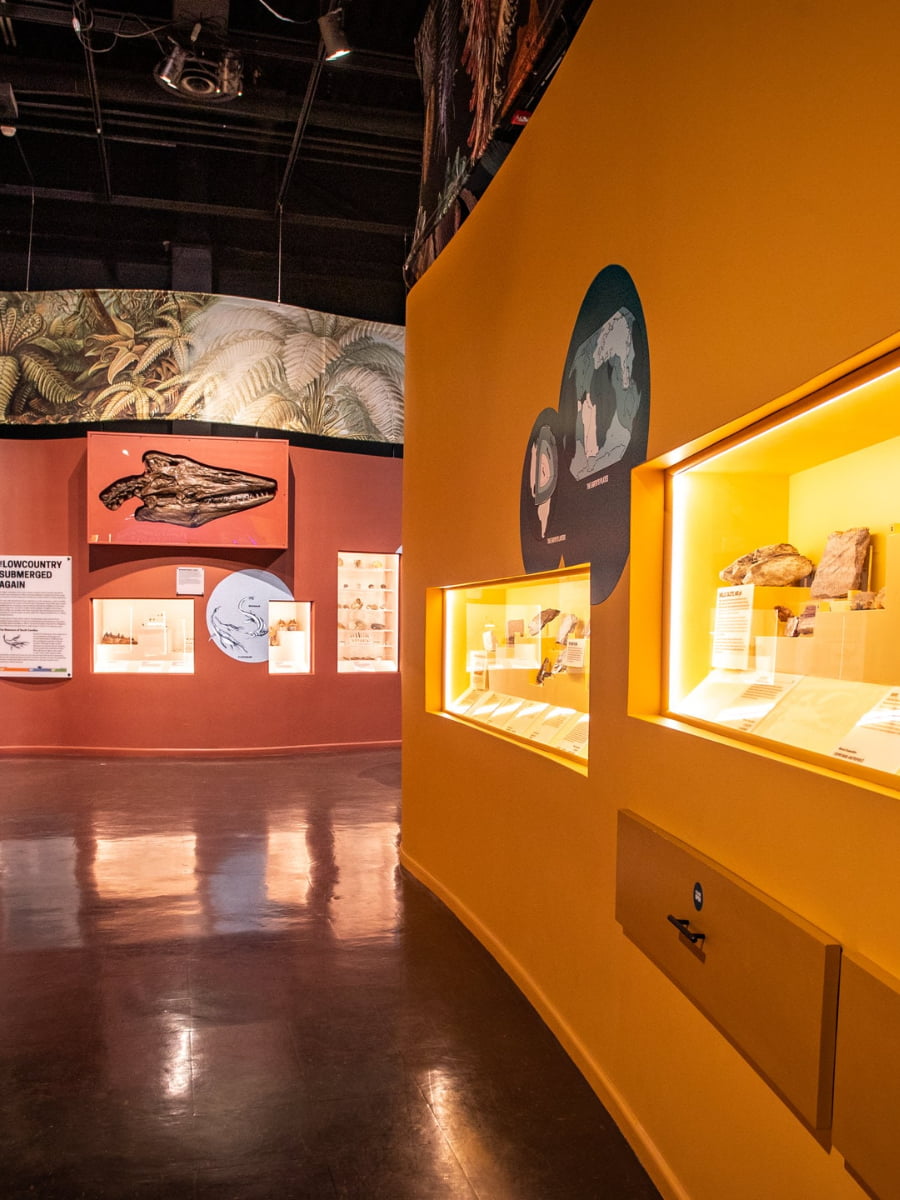 Inside of The Charleston Museum, Charleston