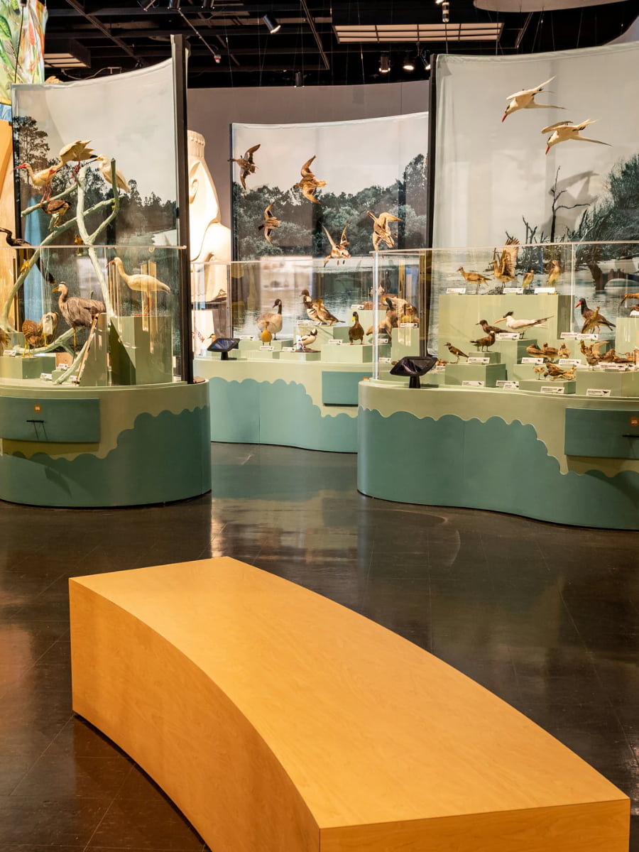 Inside of The Charleston Museum, Charleston