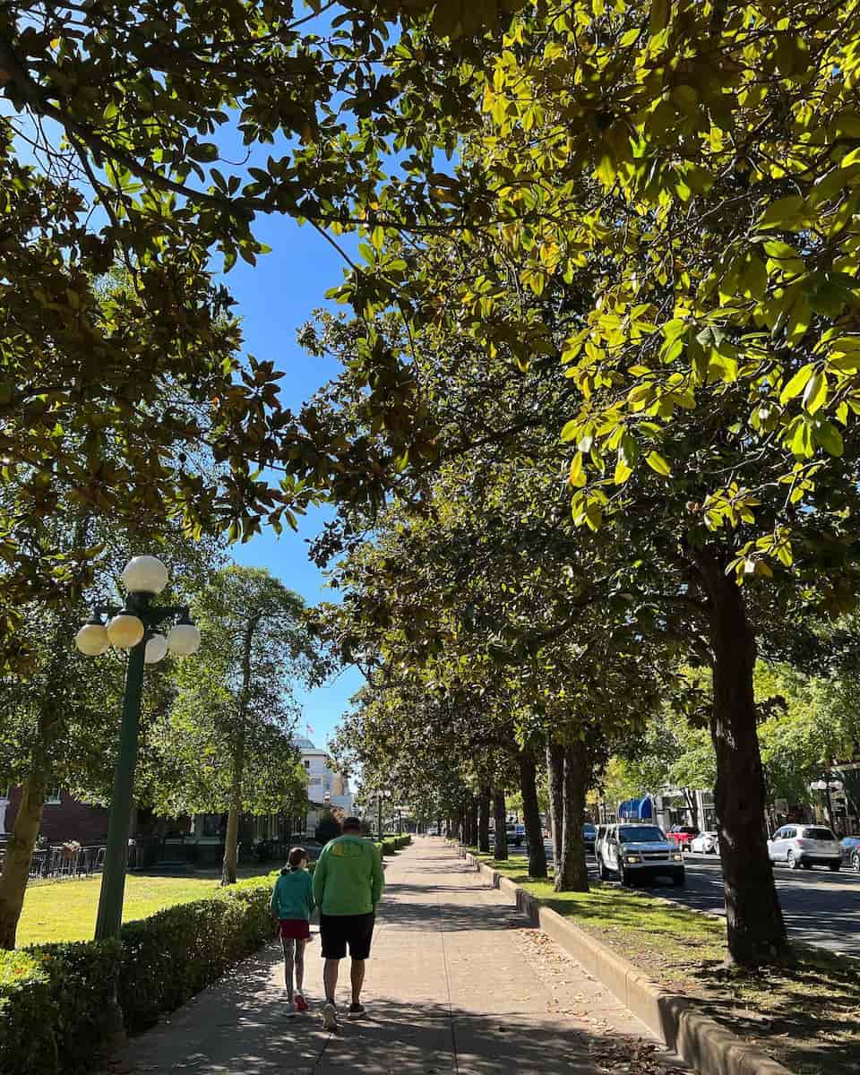 The Grand Promenade, Hot Springs