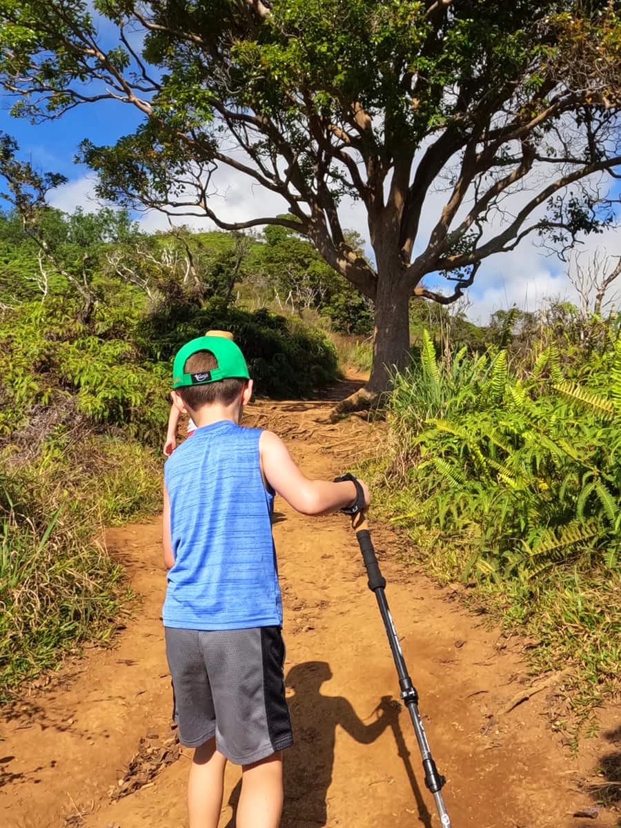 The Waihee Ridge Trail, Maui