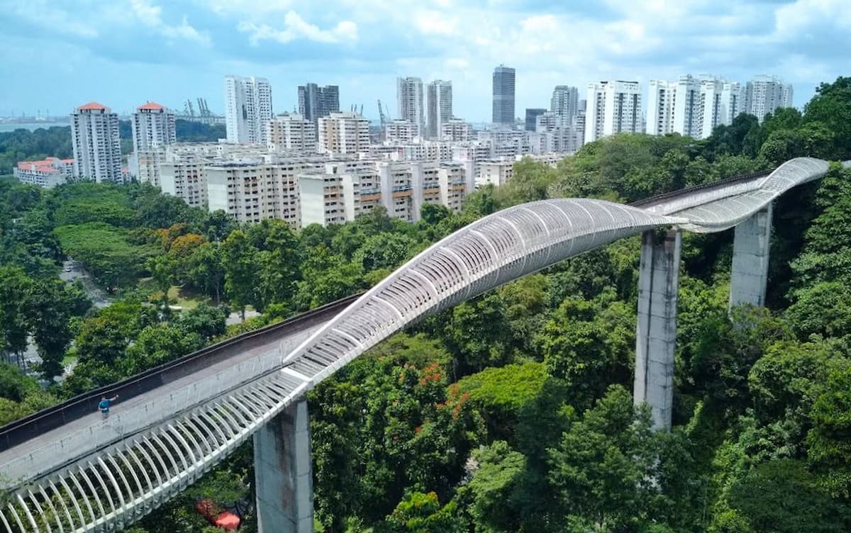 The Henderson Waves bridge, Singapore