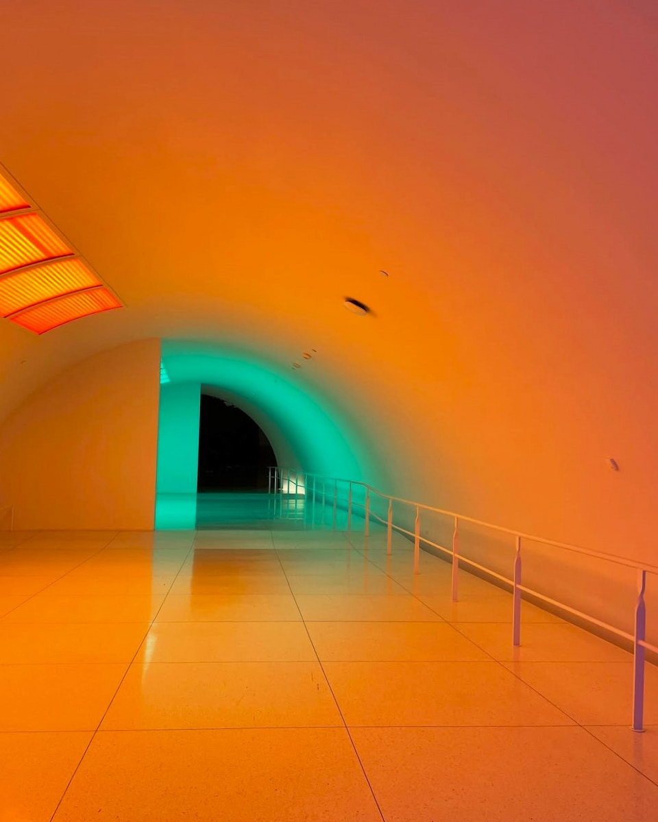 The Museum of Fine Arts, Houston