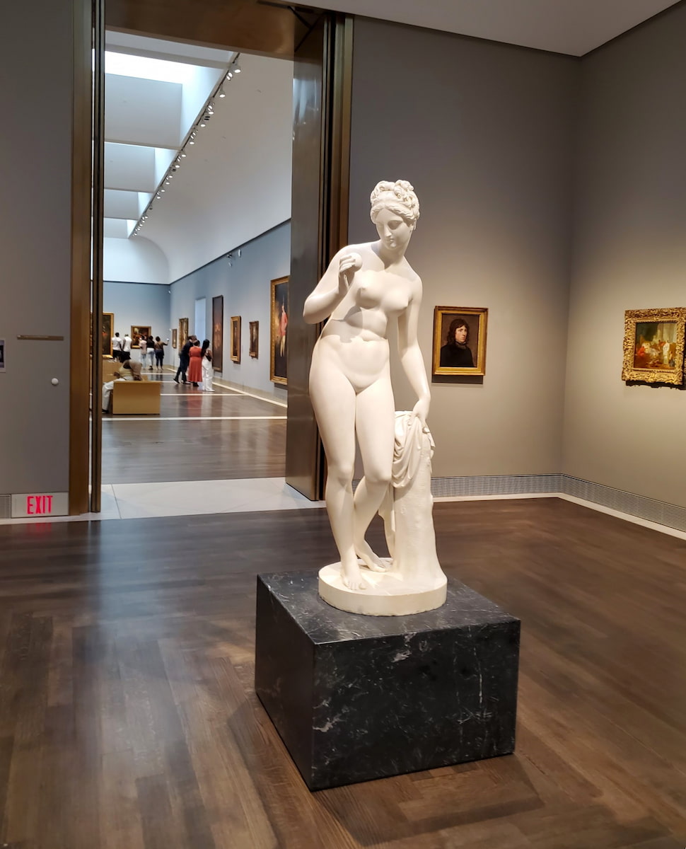 The Museum of Fine Arts, Houston