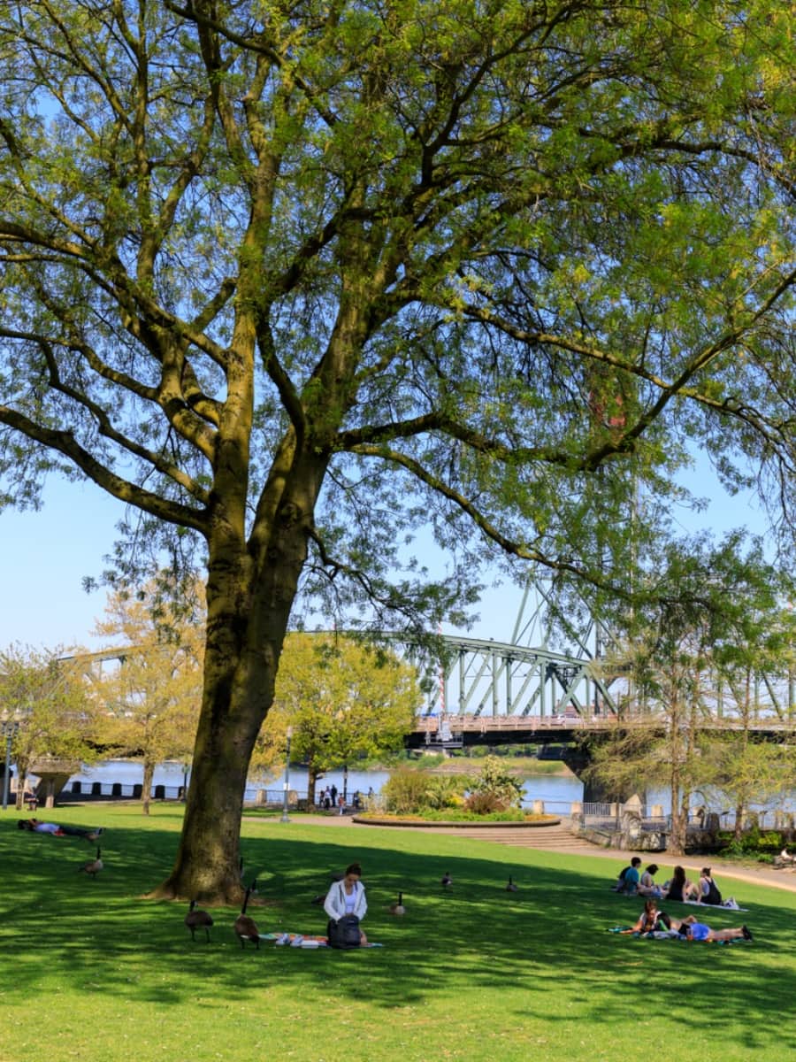 Tom McCall Waterfront Park, Portland
