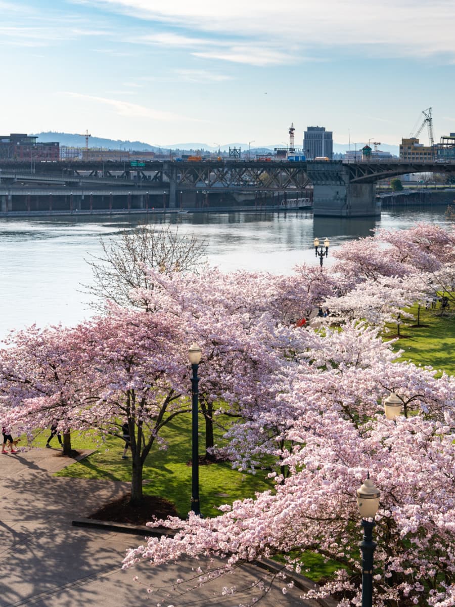 Tom McCall Waterfront Park, Portland