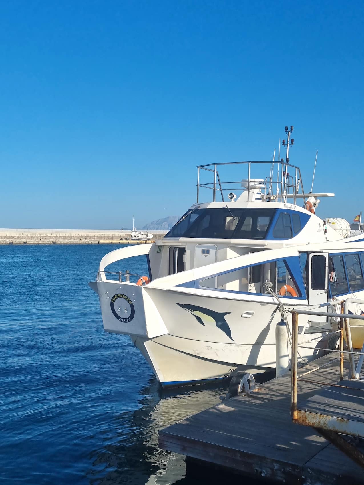 Turmares Dolphin Tarifa