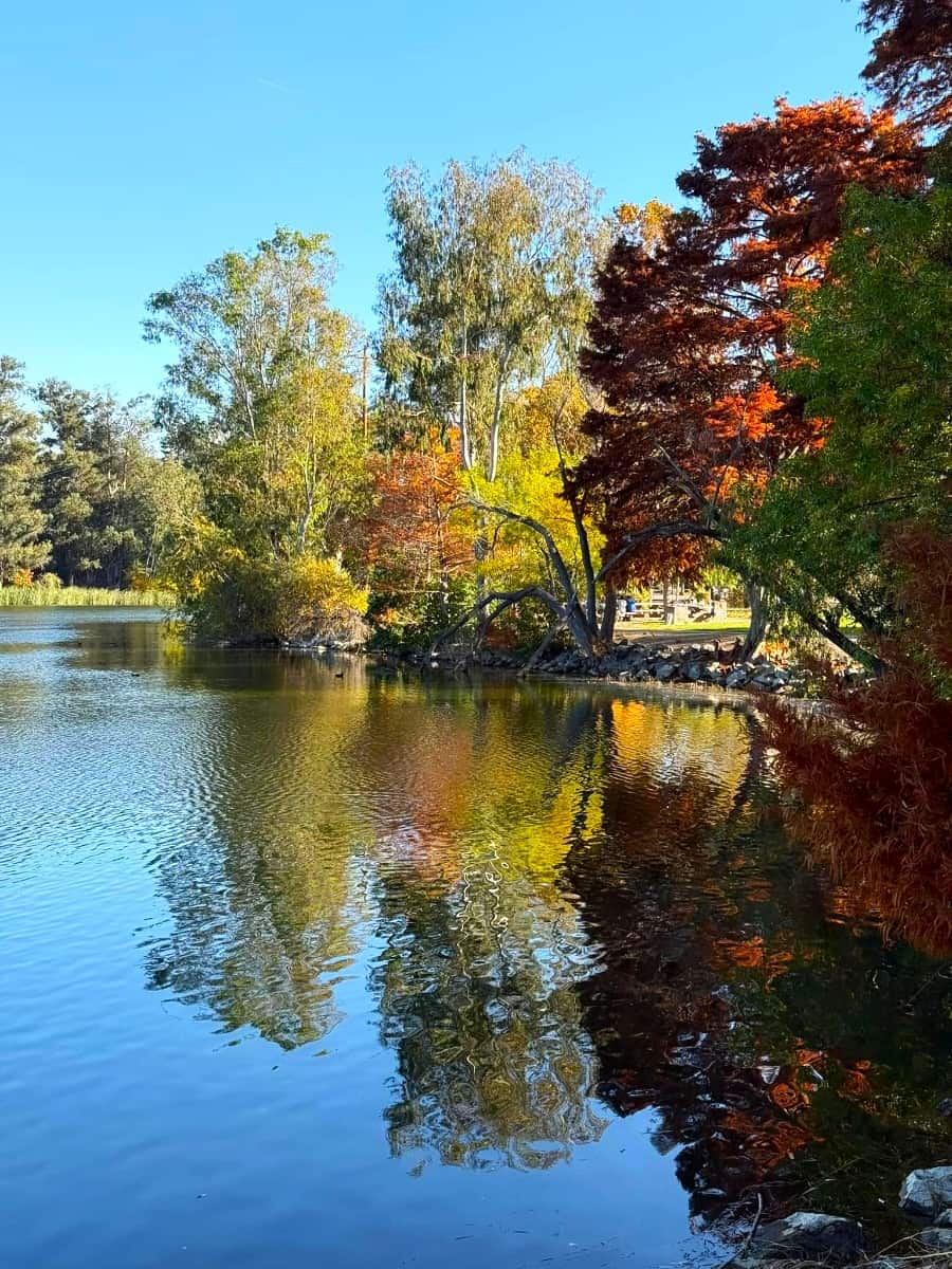 Vasona Lake County Area, San Jose, USA