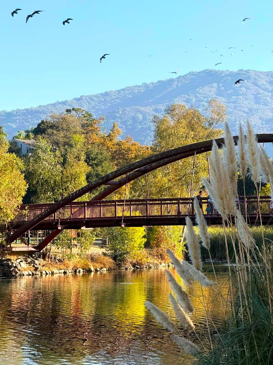 Vasona Lake County Area, San Jose, USA