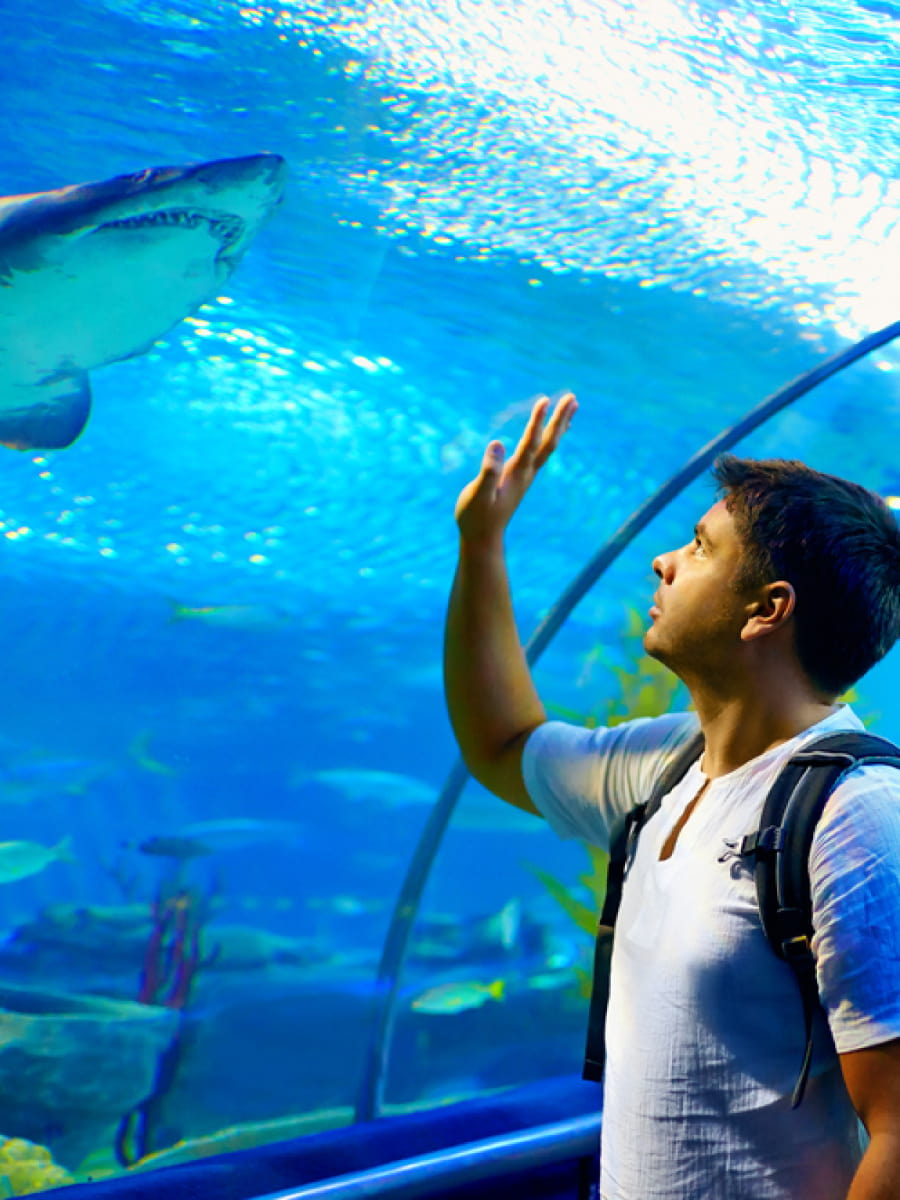 Waikiki Aquarium, Hawaii