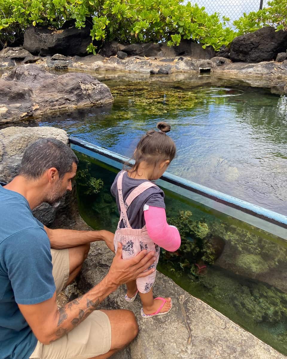 Waikiki Aquarium, Honolulu