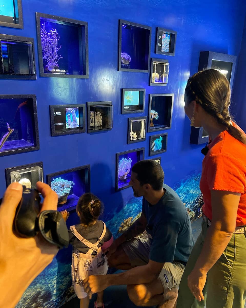 Waikiki Aquarium, Honolulu