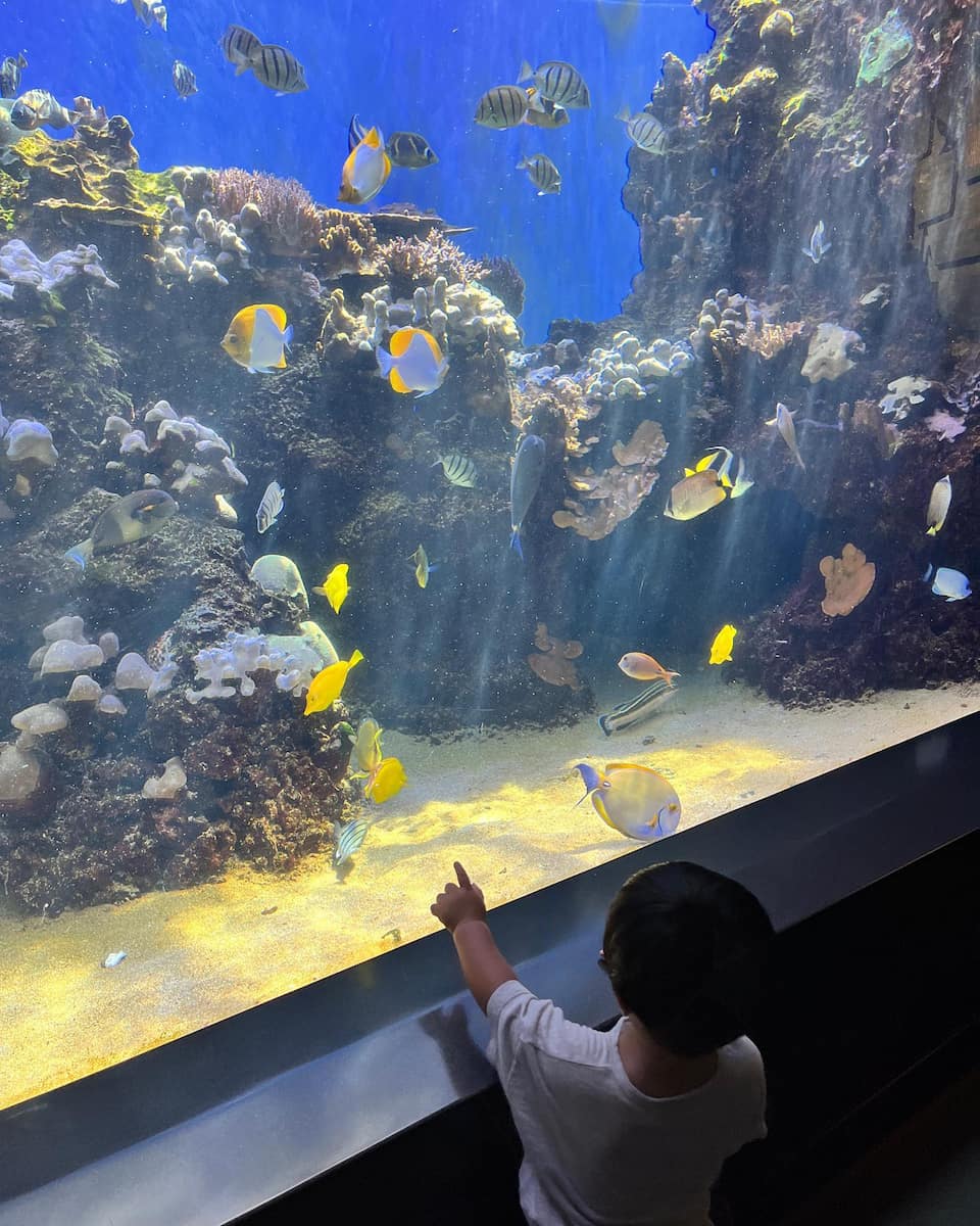 Waikiki Aquarium, Honolulu
