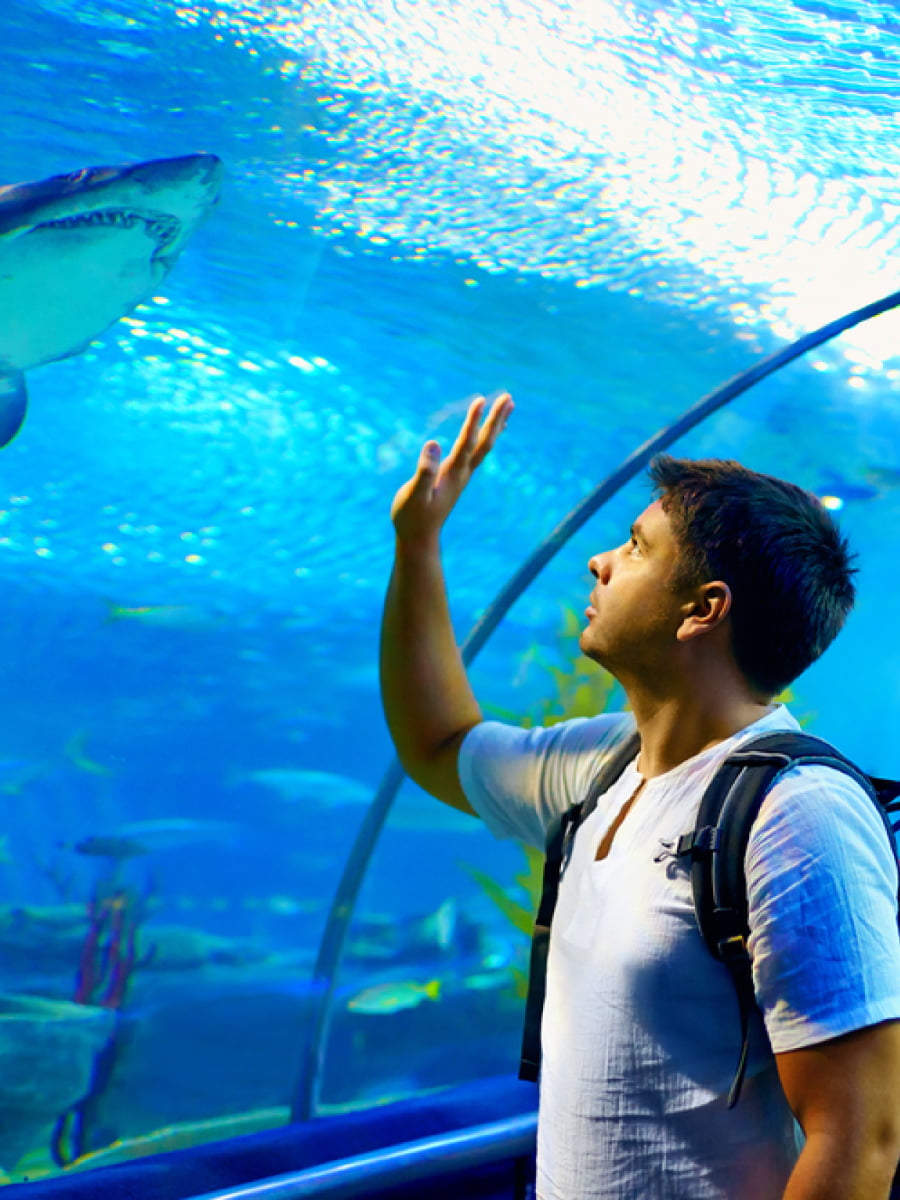 Inside of Waikiki Aquarium, Oahu, Hawaii