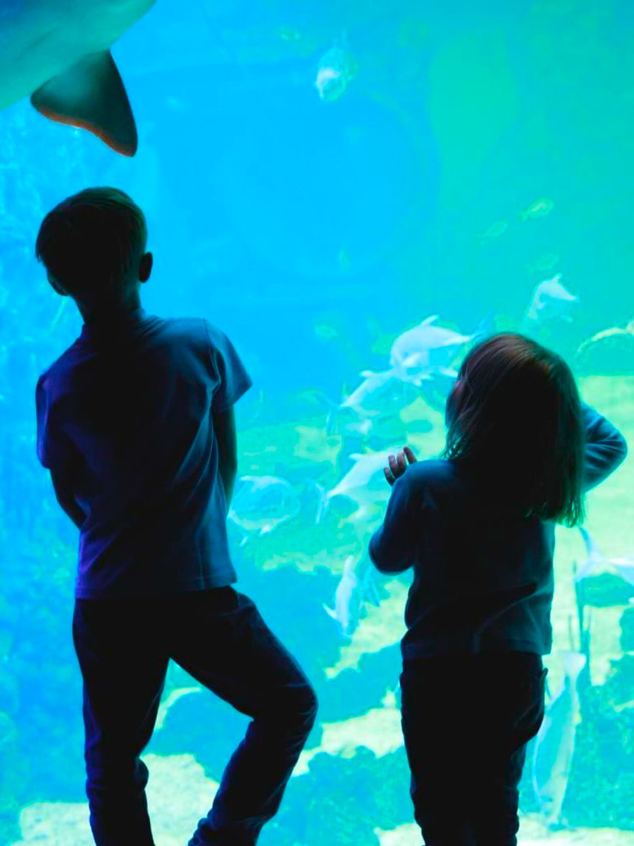 Inside of Waikiki Aquarium, Oahu, Hawaii