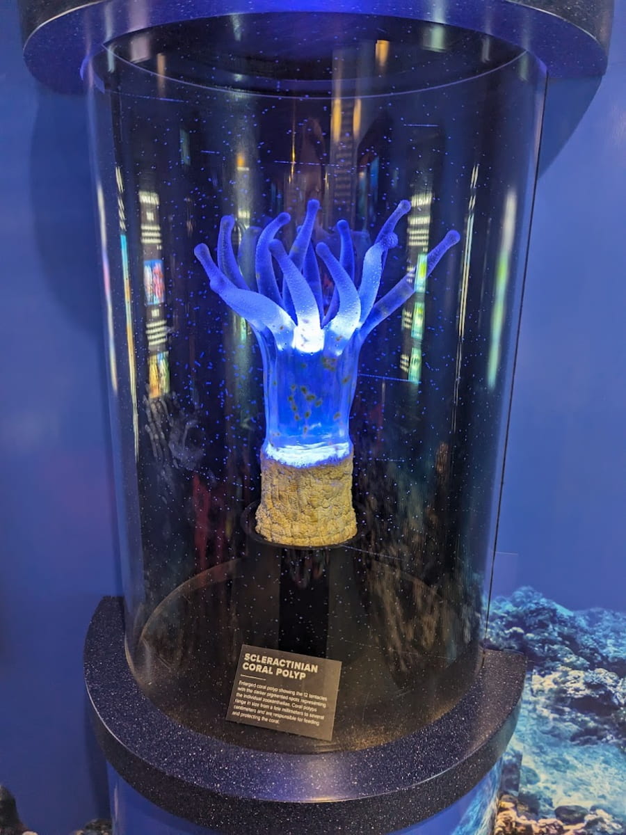 Inside of Waikiki Aquarium, Oahu, Hawaii