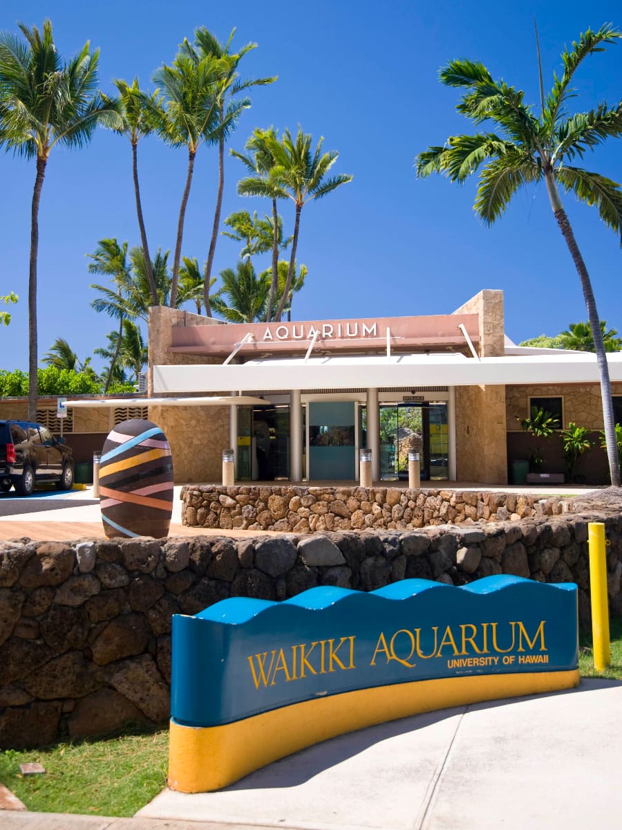 Waikiki Aquarium, Oahu, Hawaii