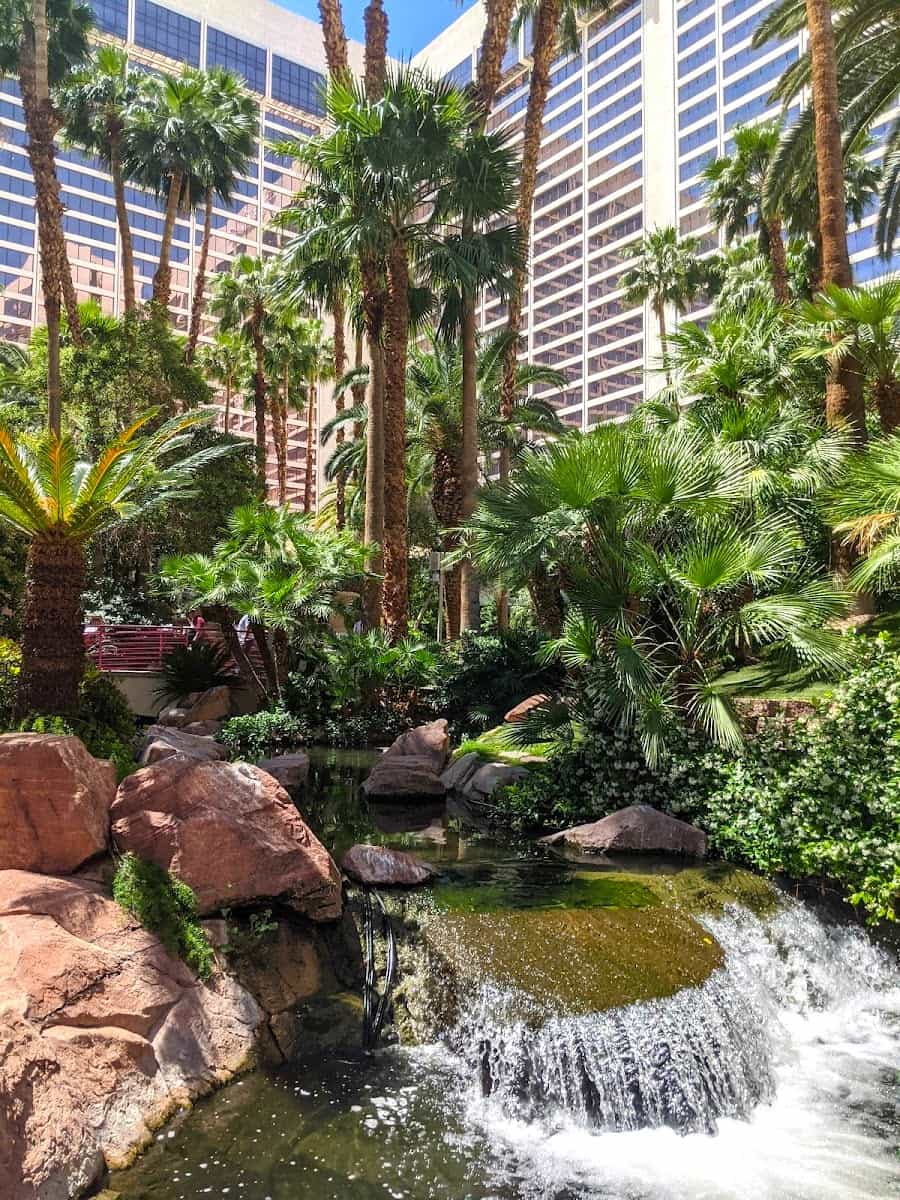 Wildlife Habitat at Flamingo, Las Vegas