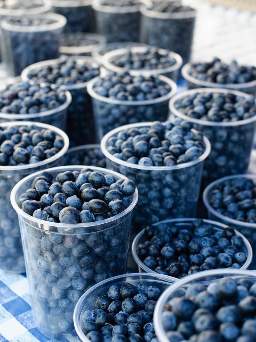 Willow Glen Farmers Market, San Jose, USA