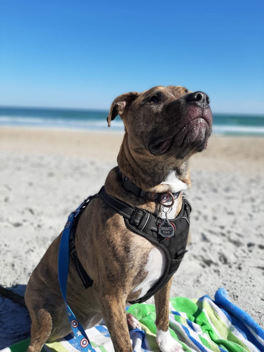 Wrightsville Beach, Wilmington