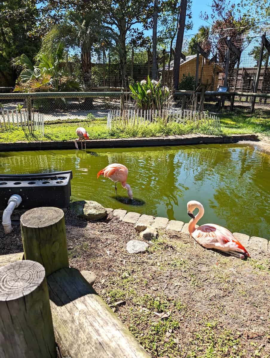 ZooWorld Zoological Park, Panama City Beach