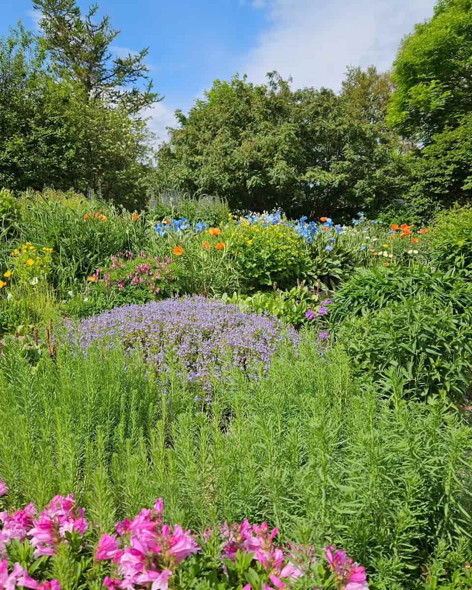 Akureyri Botanical Garden, Iceland