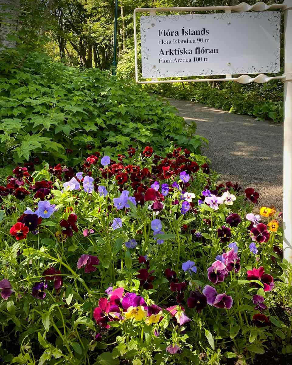Akureyri Botanical Garden, Iceland
