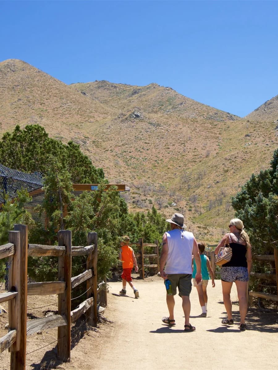 Animal Ark Wildlife Sanctuary, Reno, NV