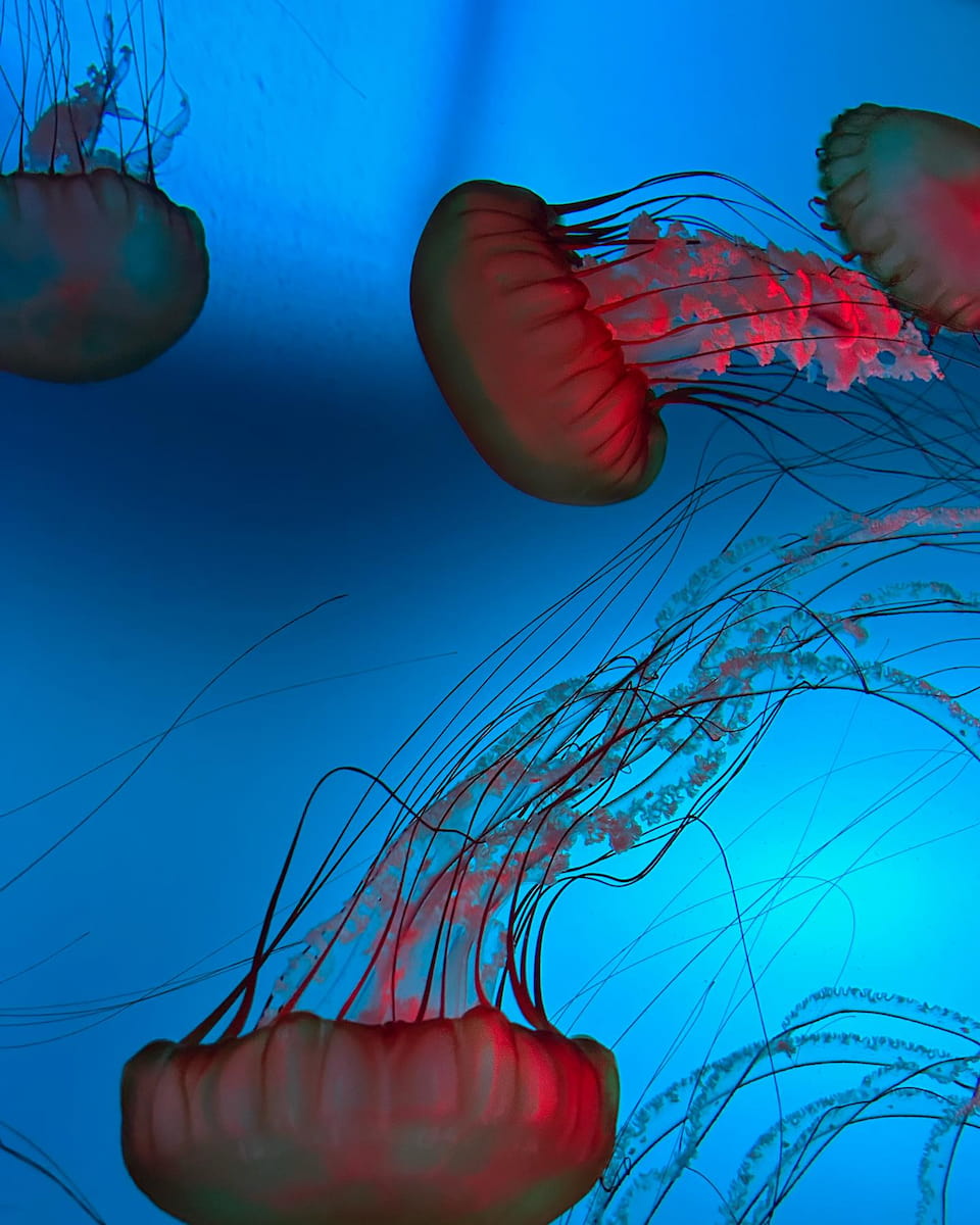 Aquarium of Quebec, Canada