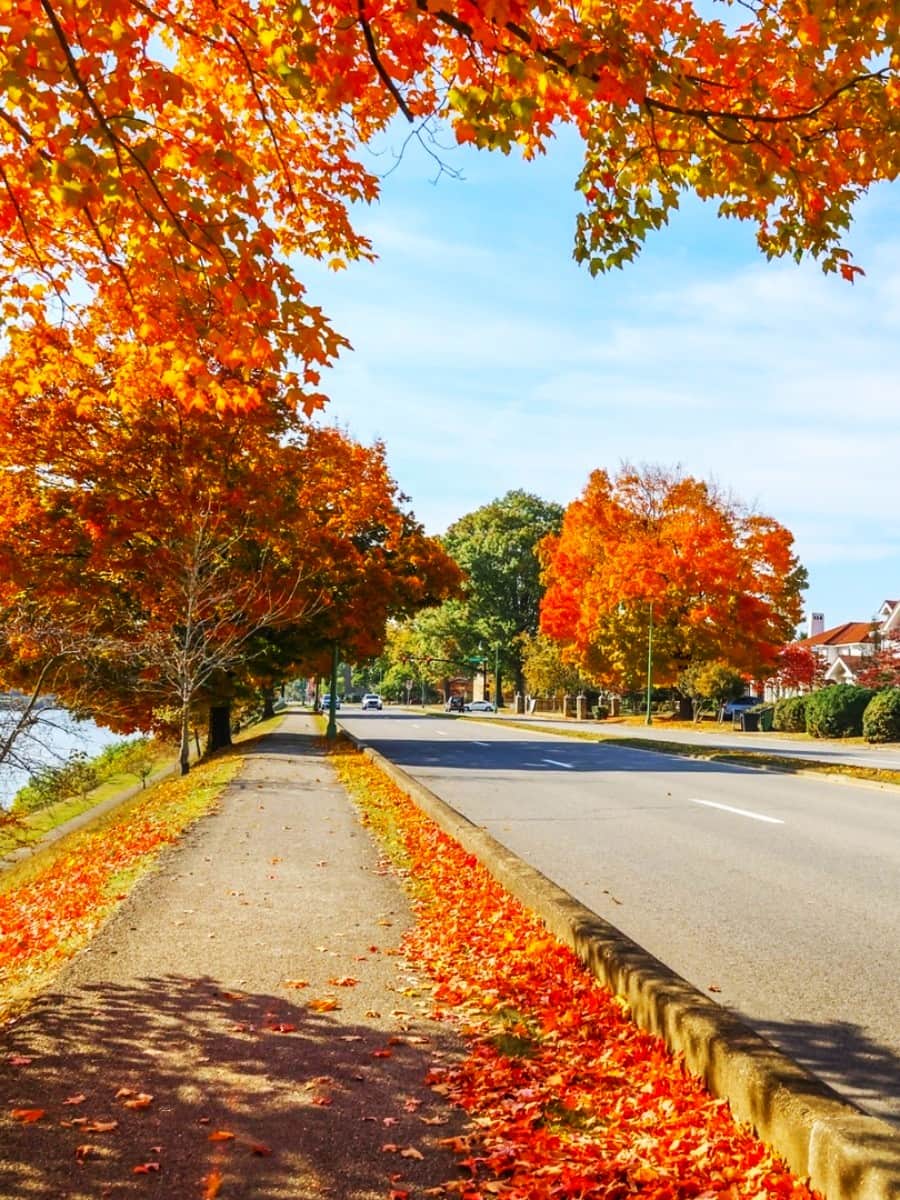 Autumn in Charleston