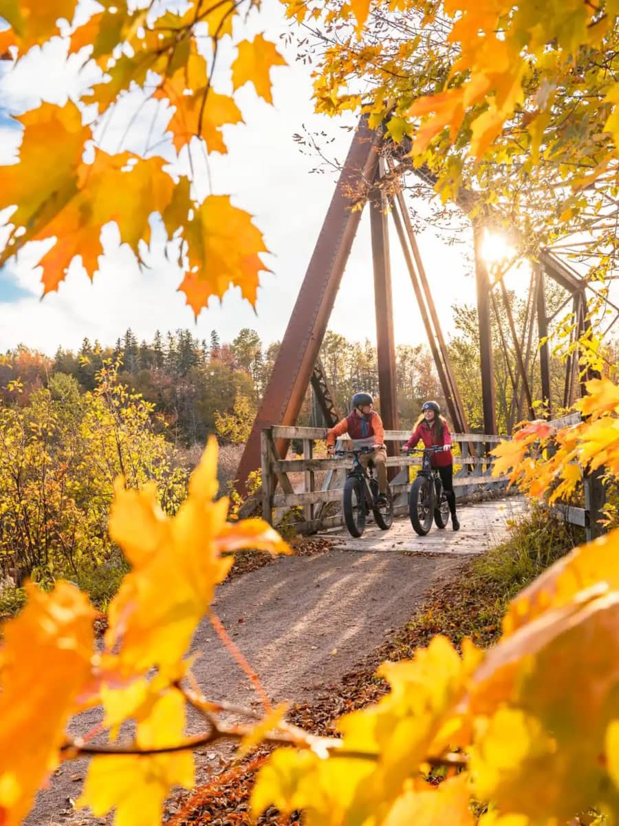 Autumn in Charleston