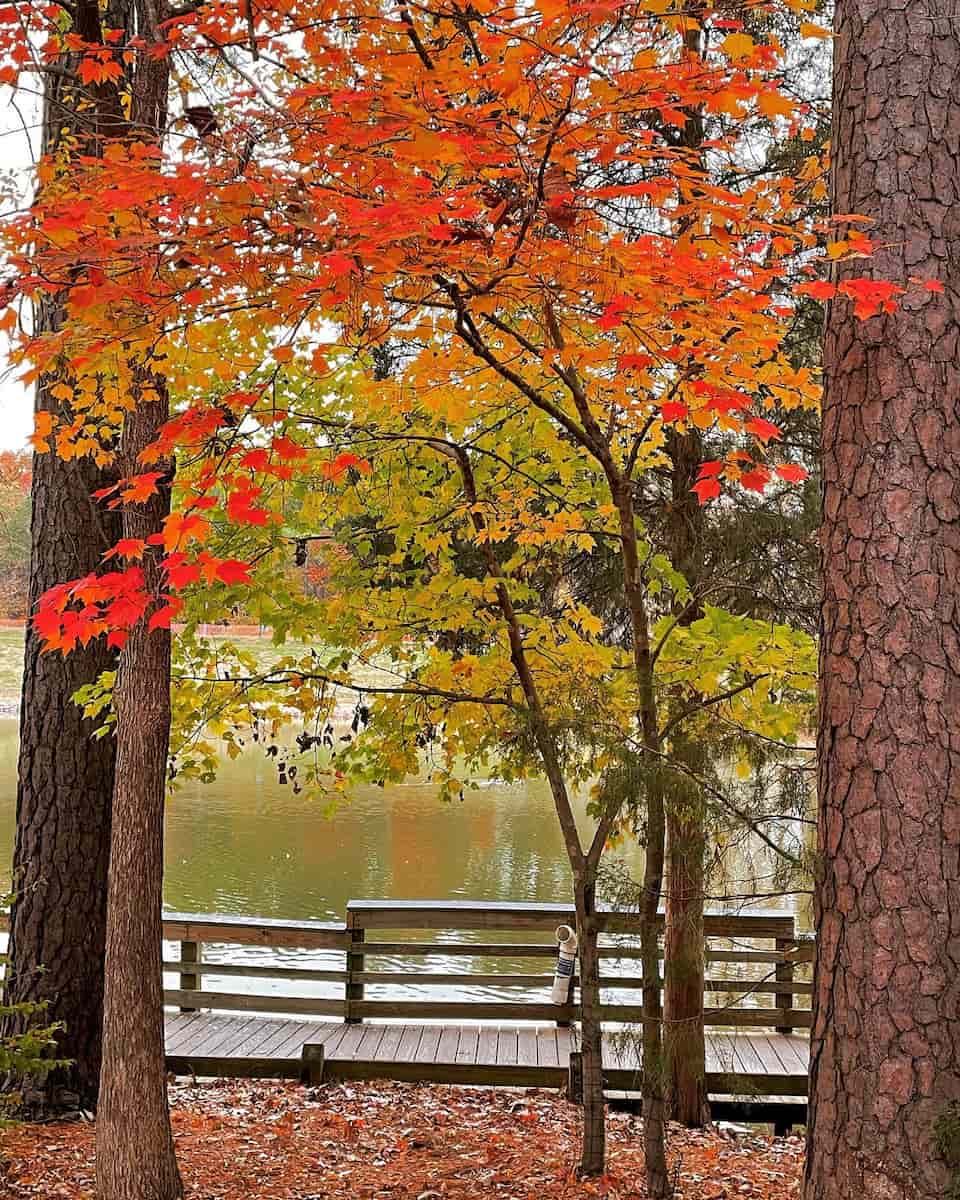 Autumn in Estes Park