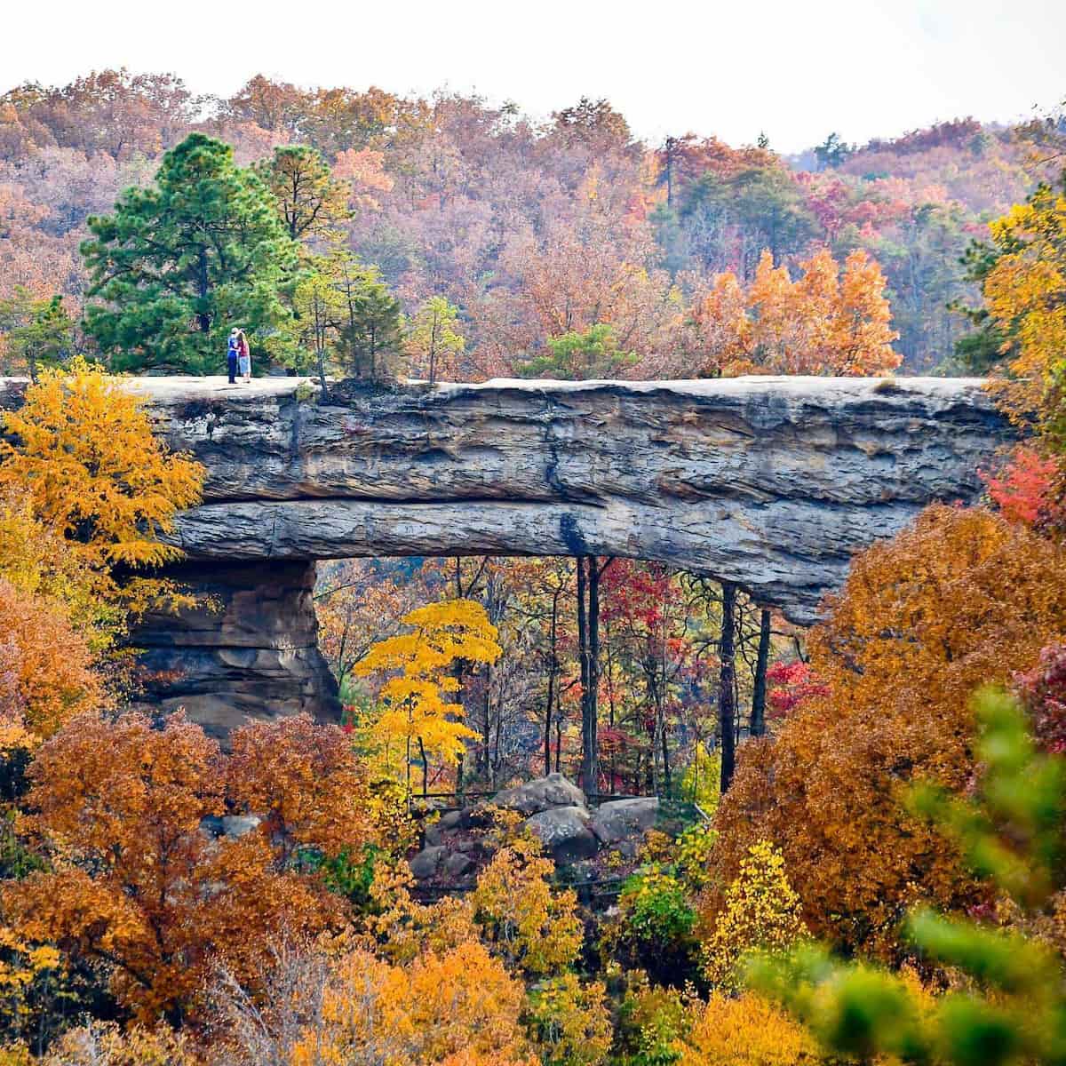 Autumn in Kentucky