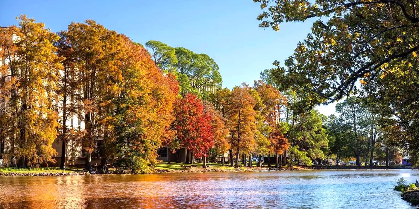Autumn in Louisiana, Baton Rouge