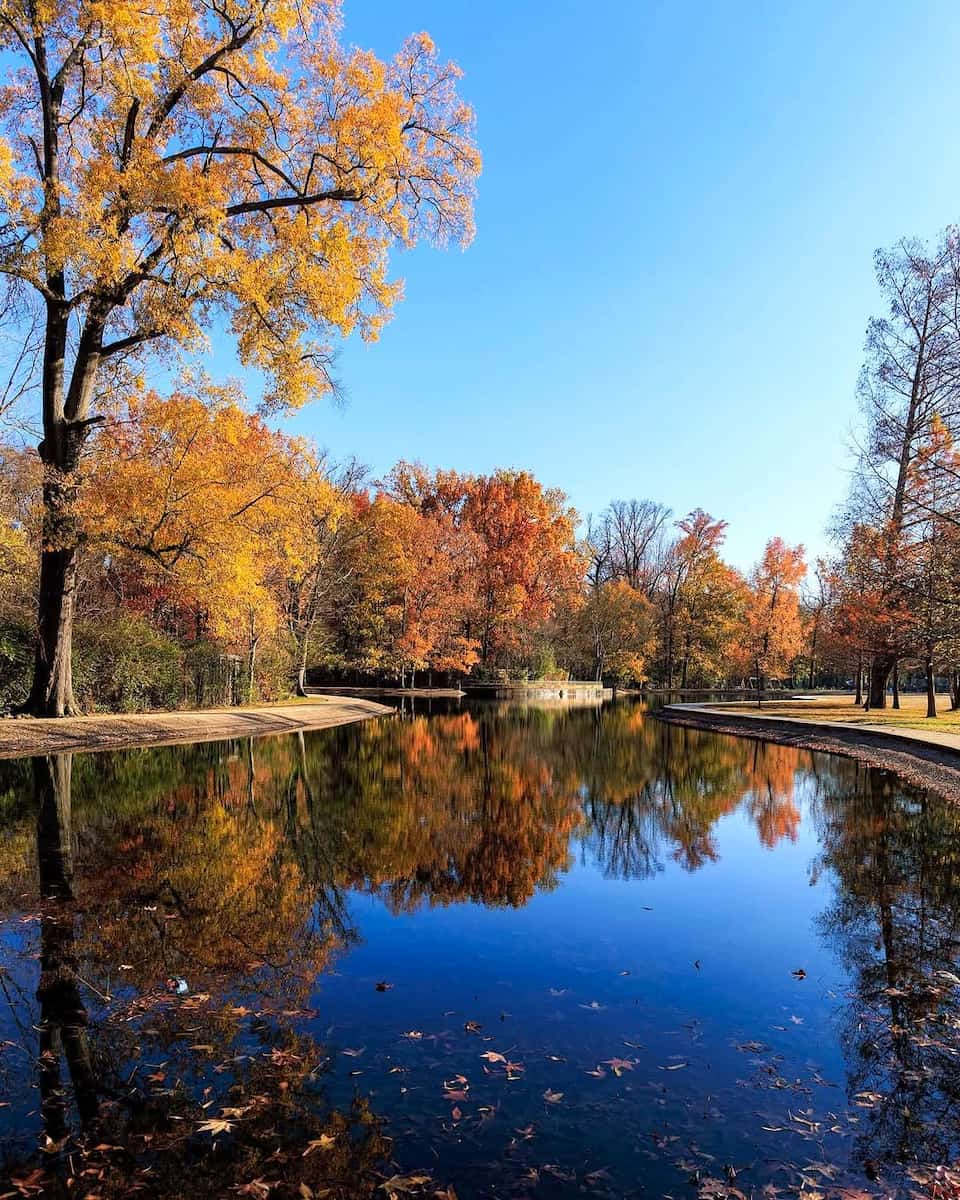 Autumn in Memphis