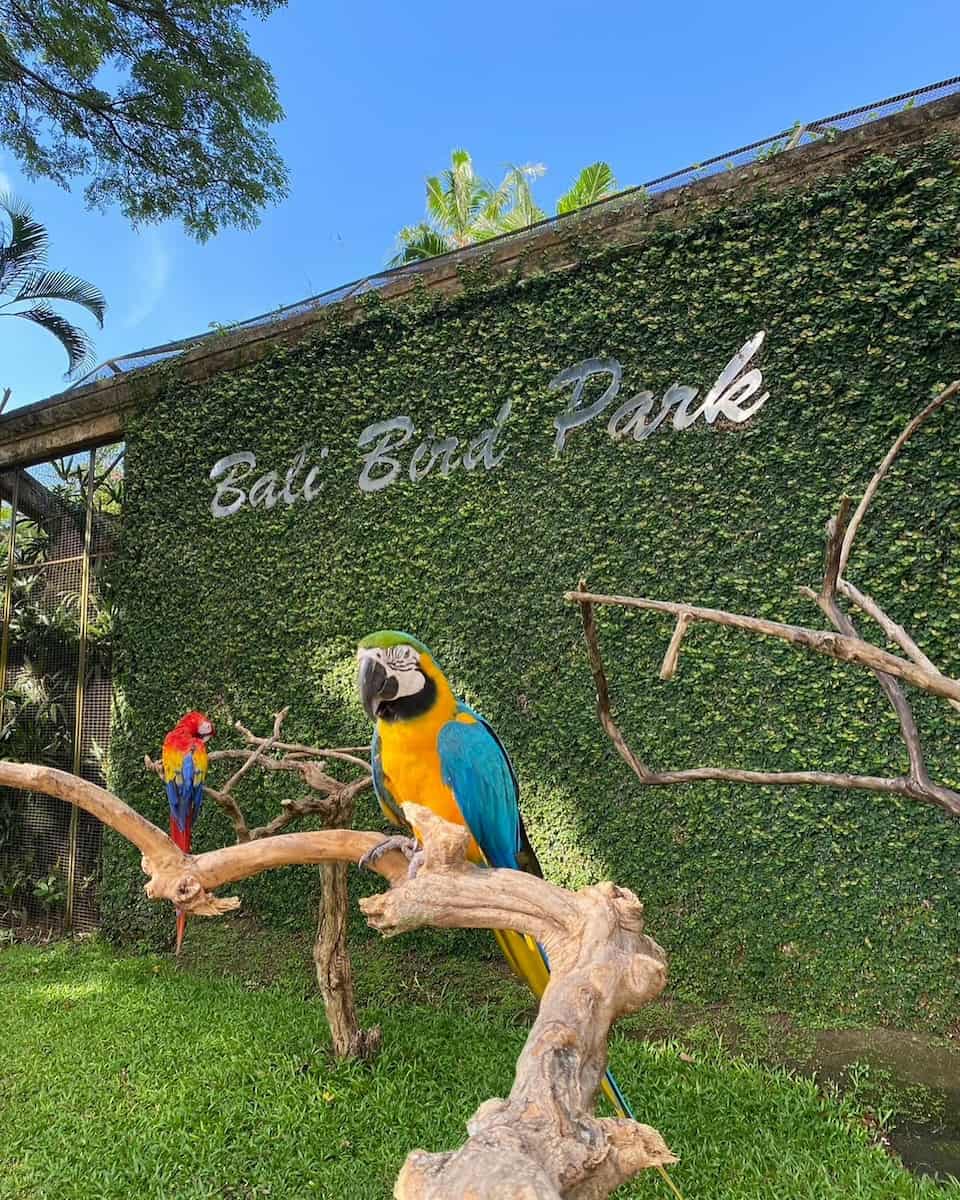 Bali Bird Park