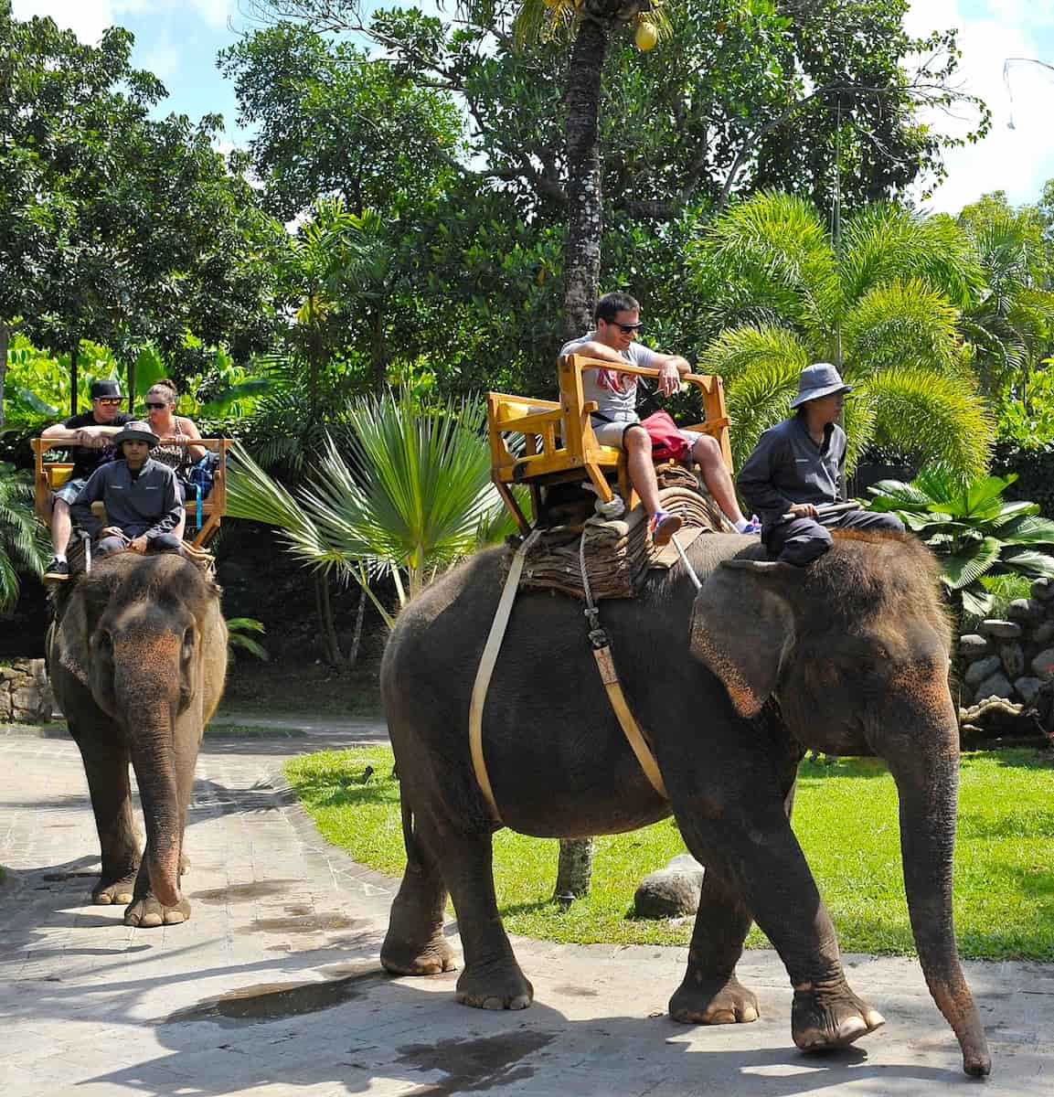 Bali Zoo