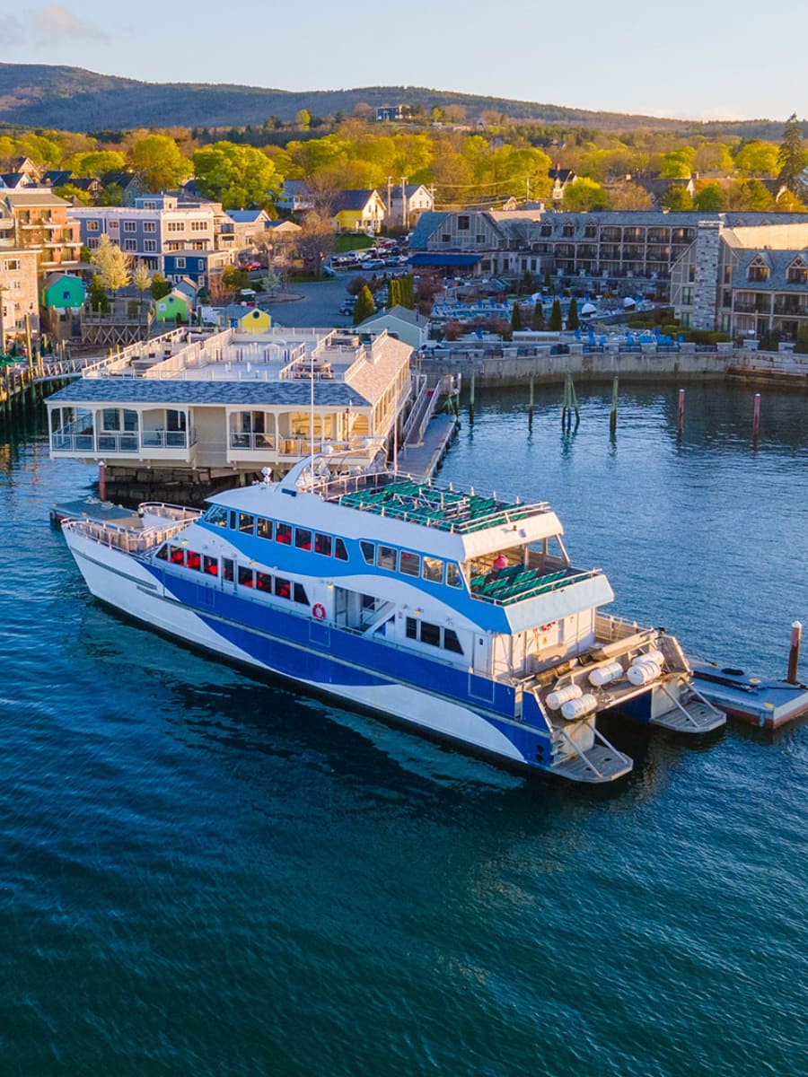 Bar Harbor Whale Watch Co, Bar Harbor, Maine