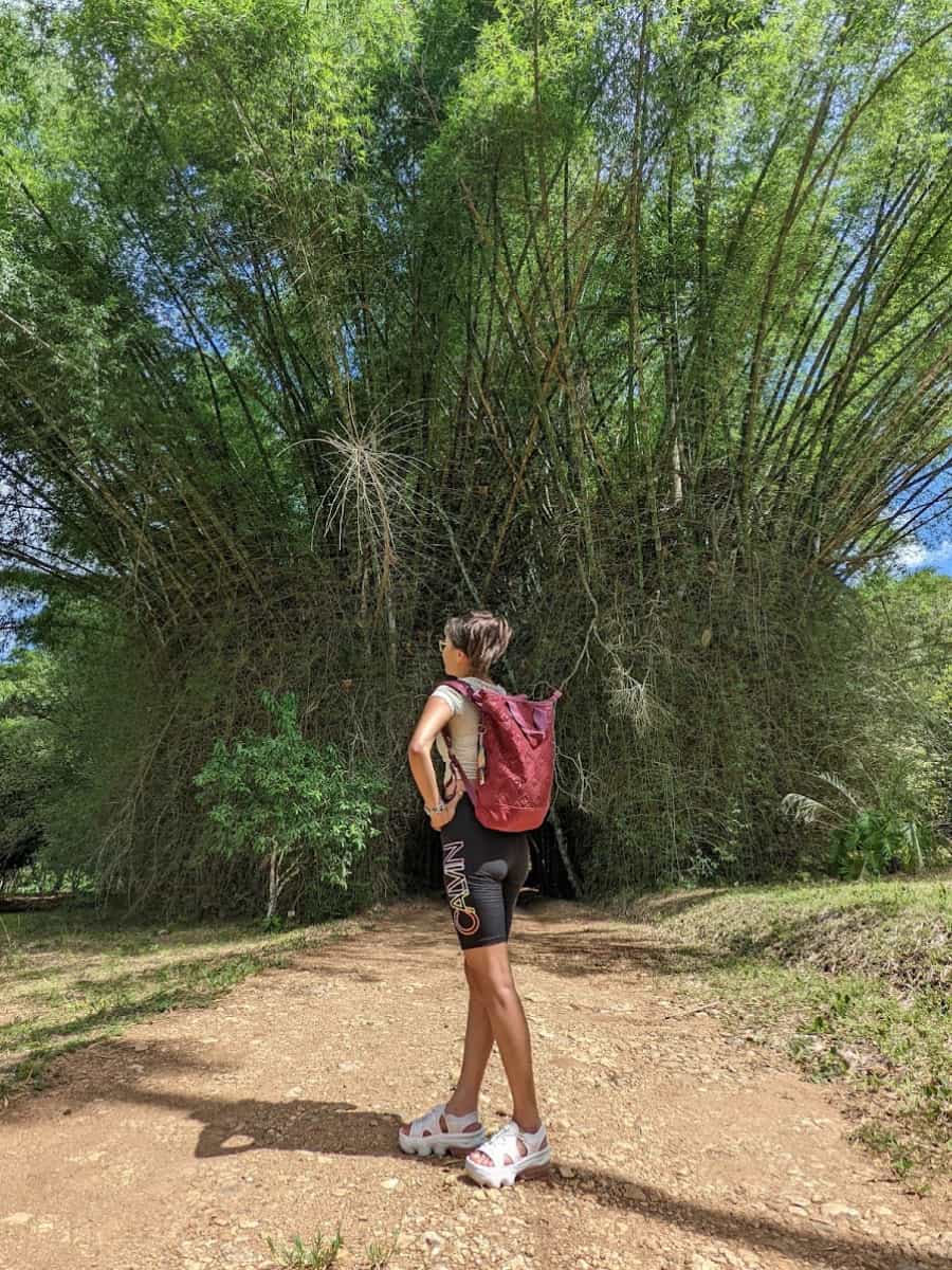 Belize Botanic Gardens, Belize